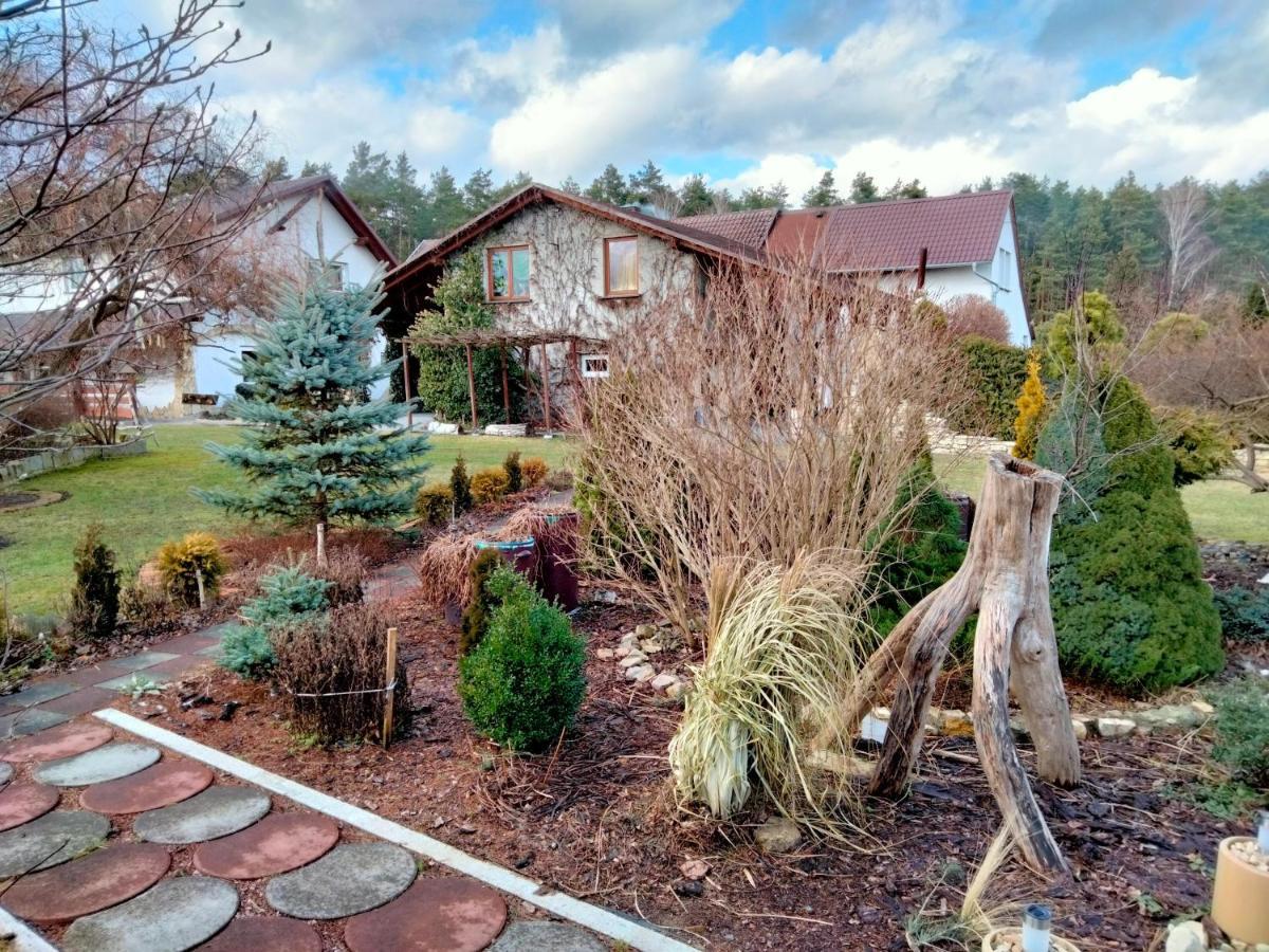 Pod Piramida Villa Ługniany Buitenkant foto