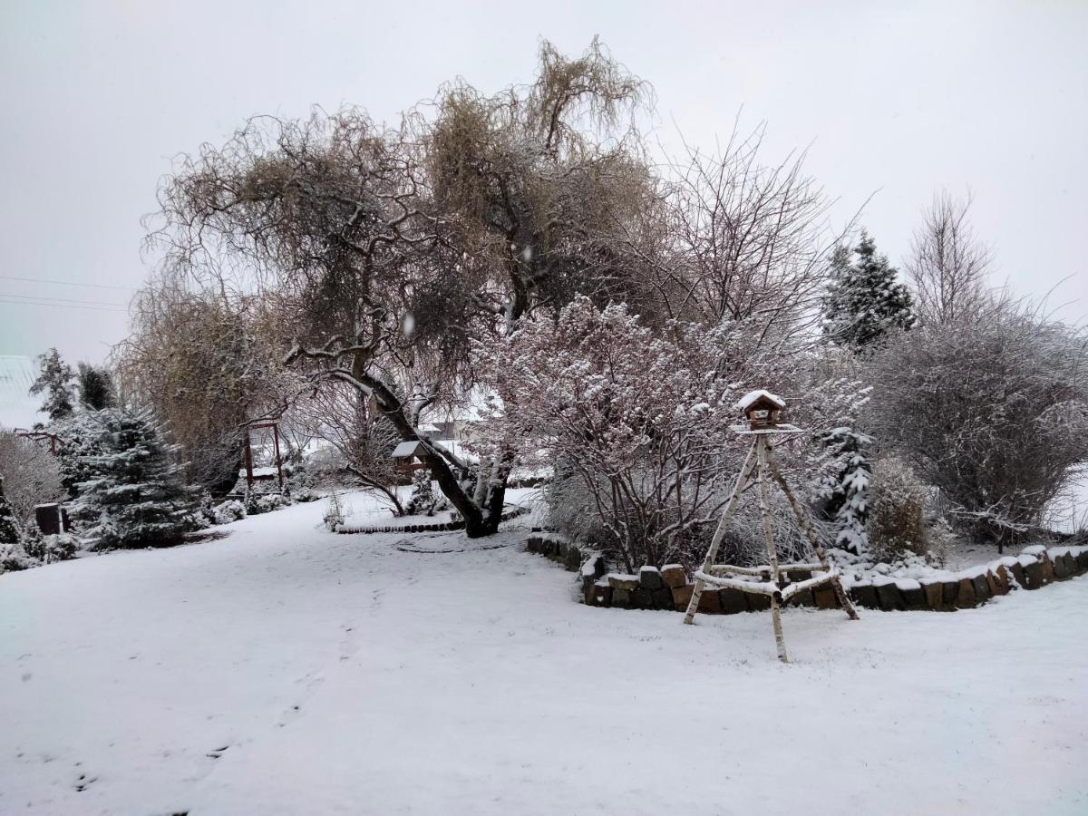 Pod Piramida Villa Ługniany Buitenkant foto